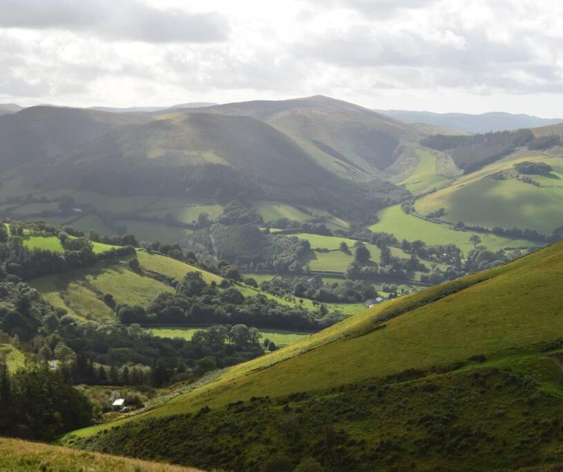 Luxury Lodge In The Treetops Llanbrynmair Esterno foto