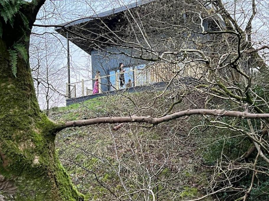 Luxury Lodge In The Treetops Llanbrynmair Esterno foto