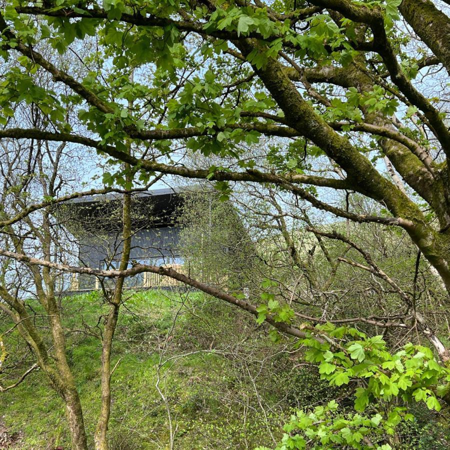 Luxury Lodge In The Treetops Llanbrynmair Esterno foto